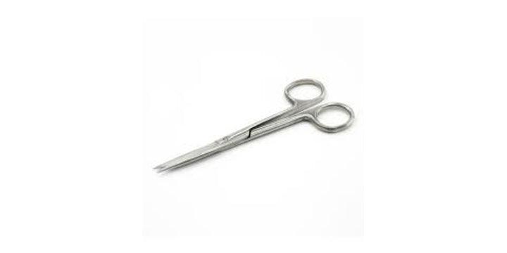 Scissors (Sharp/Sharp) - 21Bmedical